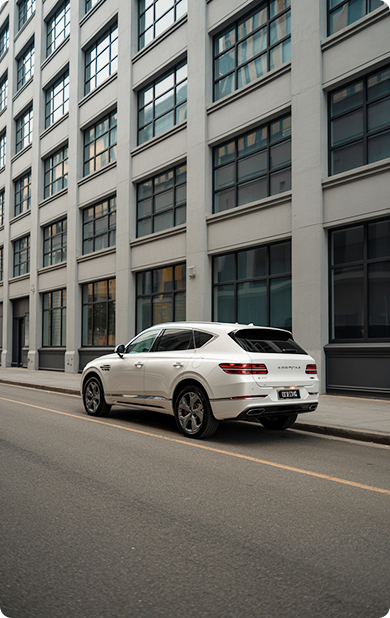 dsc 8645 1 scaled 135 4