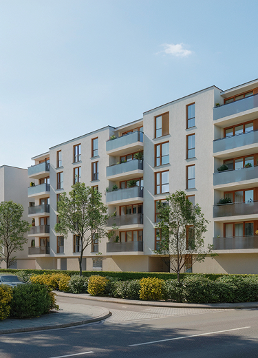 image pered futerom 8