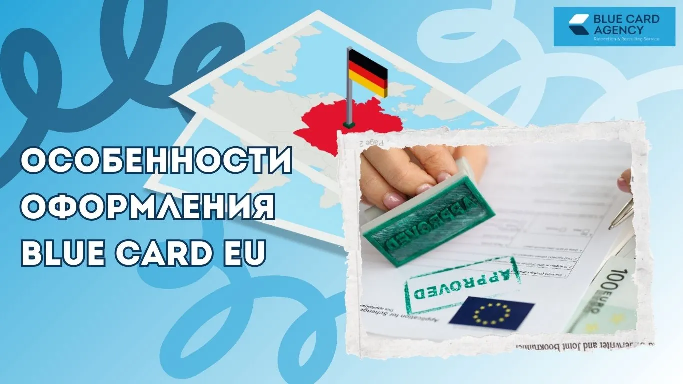 Особенности оформления Blue Card EU