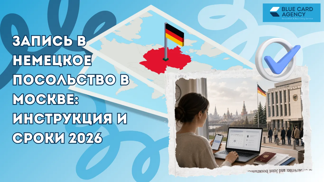 stati oblozhki 12