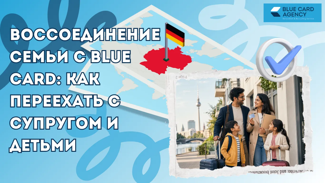 Воссоединение семьи с Blue Card: как переехать с супругом и детьми
